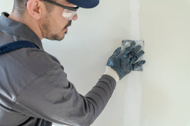 Best Repainting for Renovations  in USA